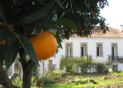 house with orange DEVINUS spirituele reis Portugal