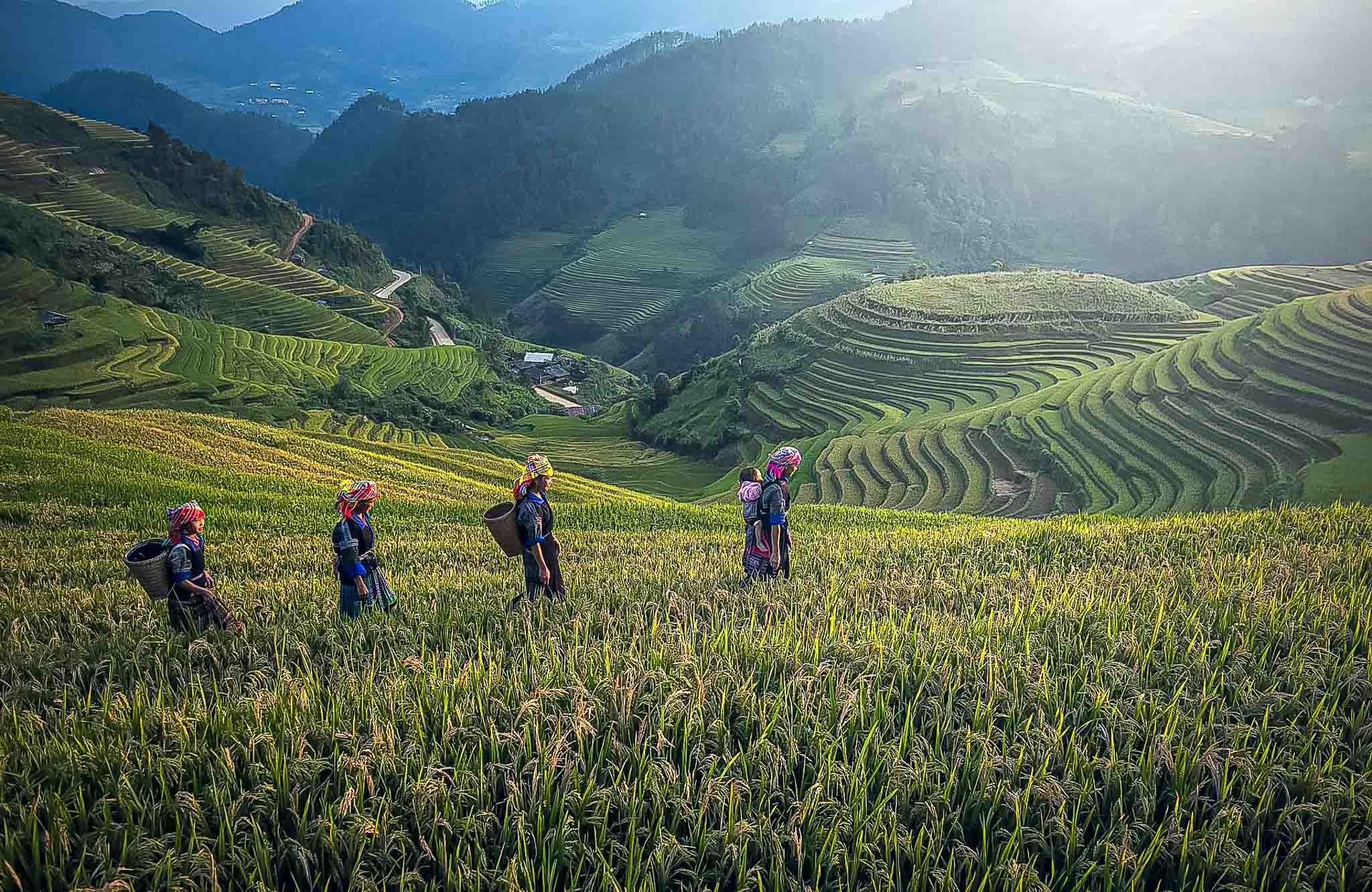 Boeren lopen door de rijstvelden in Bali. DEVINUS spirituele reis Bali