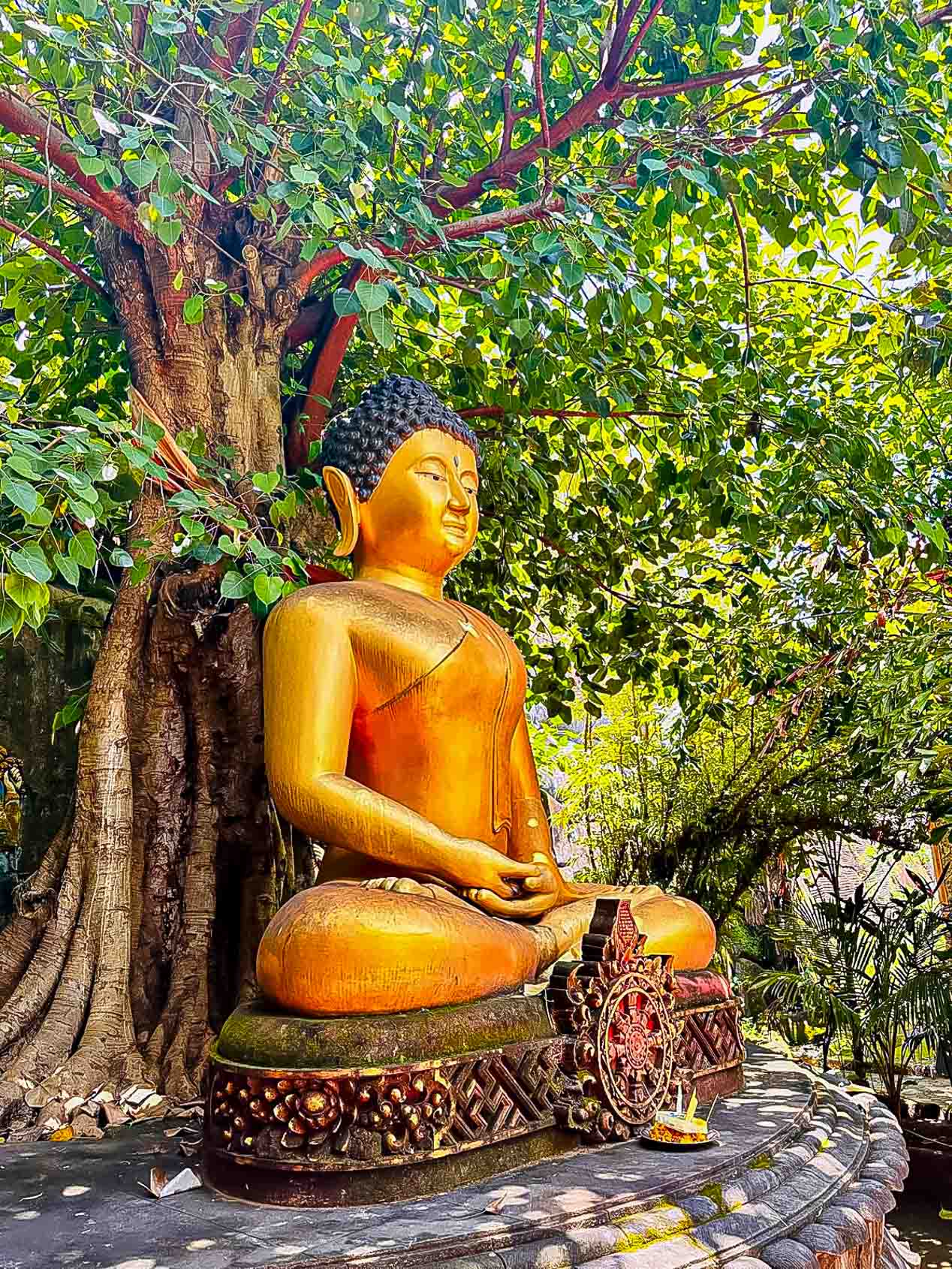 DEVINUS Spirituele reis Bali DSRB 141 Goudkleurig Boeddhabeeld onder de bodhiboom